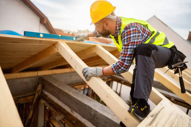 Best Roof Gutter Cleaning  in Delano, MN